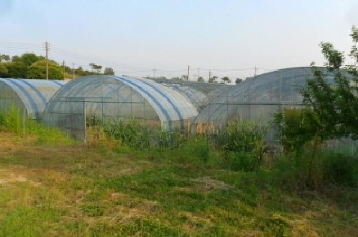 부동산표시 제8호 제시외