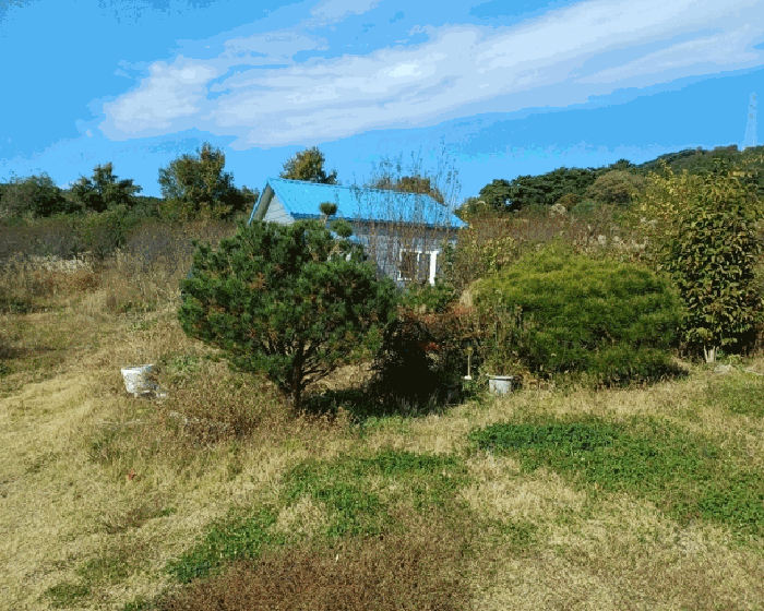 제시외 수목 ㄴ)