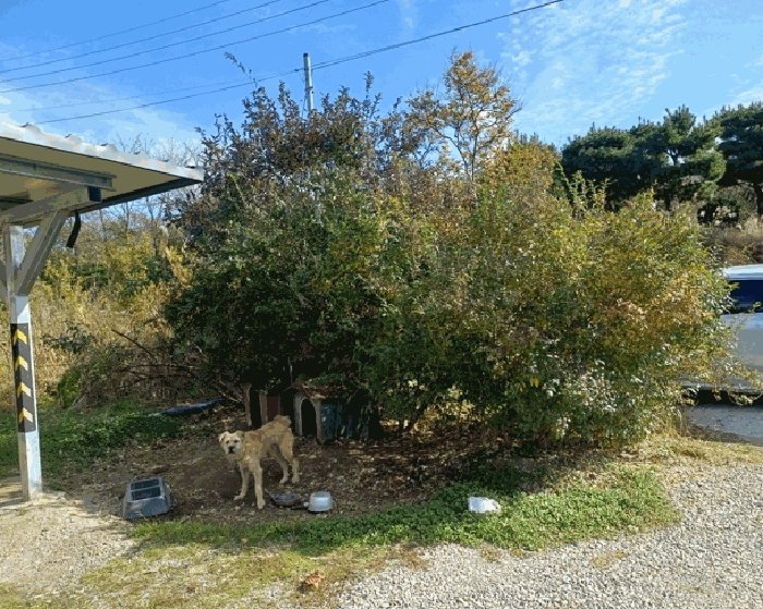 제시외 수목 ㄹ)