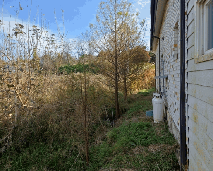 제시외 수목 ㅁ)