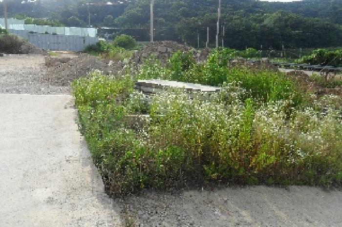 부동산표시 제5호