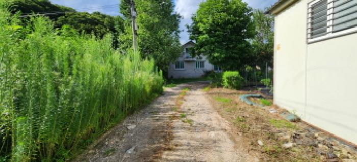 본건 부동산 전경1