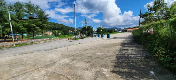 본건 부동산 진입로 전경