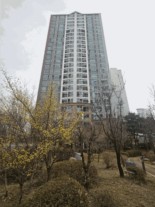 154동 전경(남서측 방향)