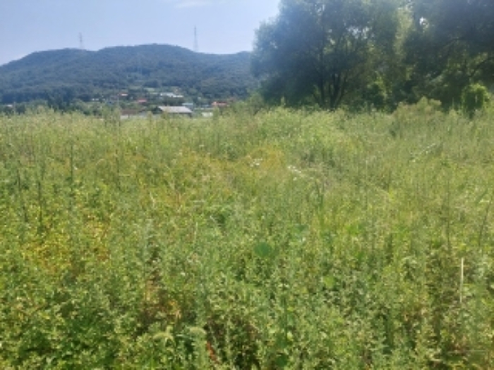 부동산 표시목록 3번 - 전