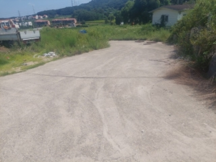 부동산 표시목록 6번 임야(도로)