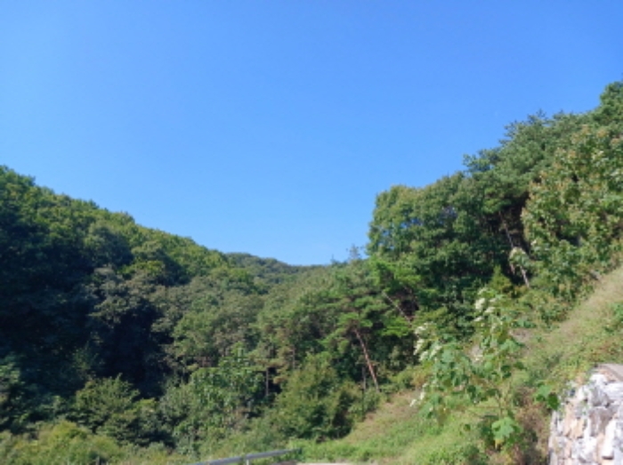목록4