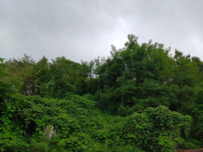 목록10
