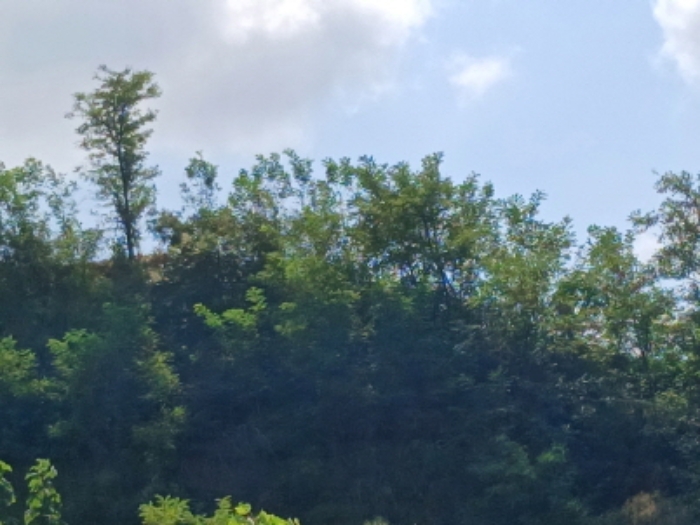 목록10