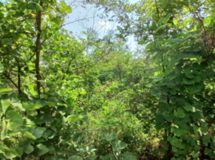 목록35