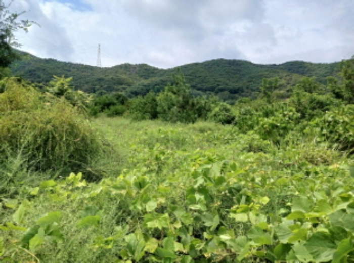 목록46