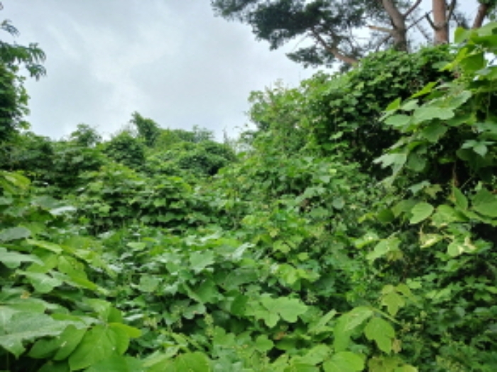 목록29
