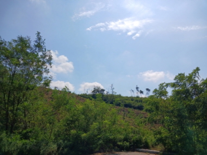 목록10