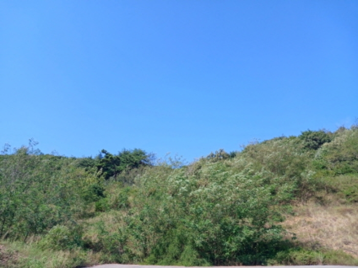 목록31