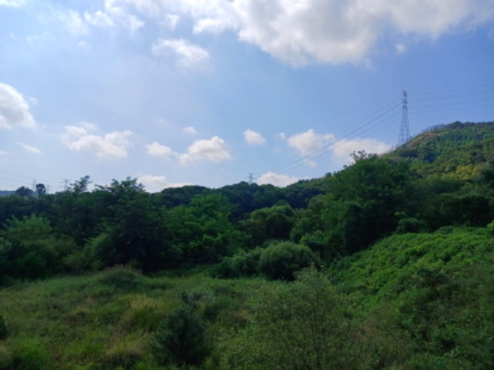 목록35