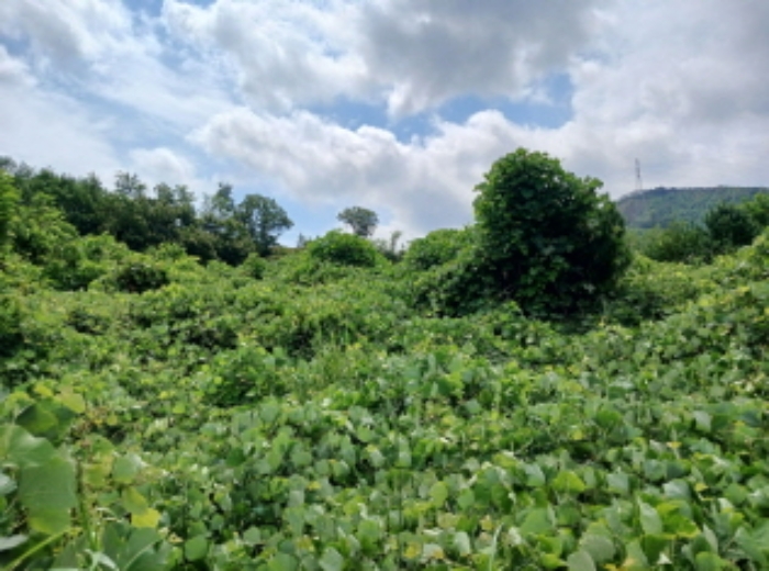 목록47