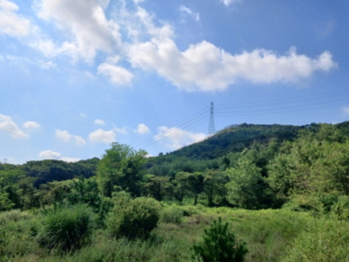 목록35