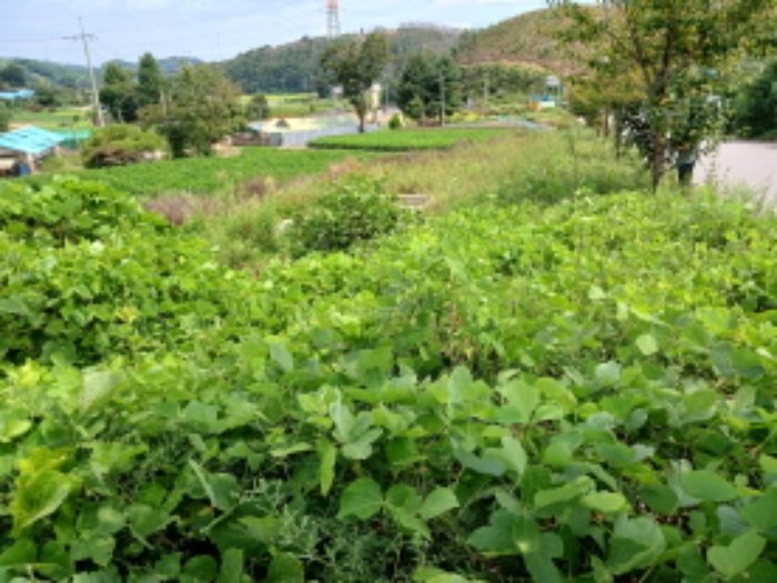 목록7