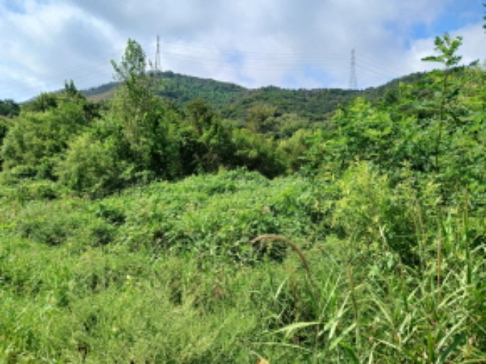 목록10