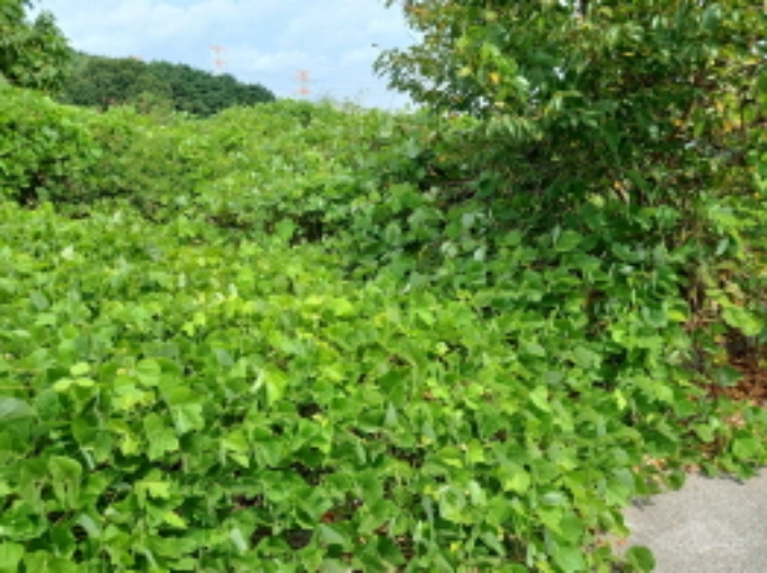 목록28