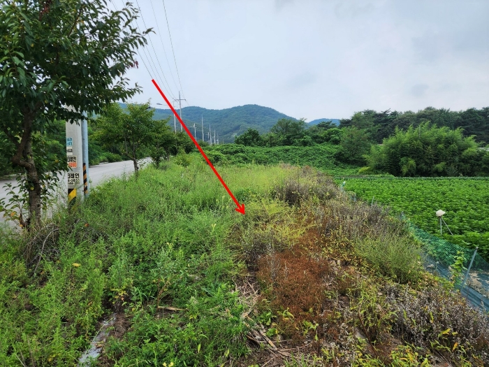 기호(7) 전경