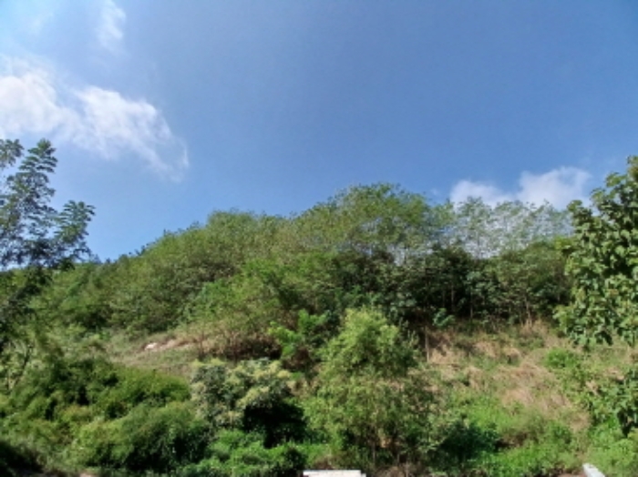 목록31