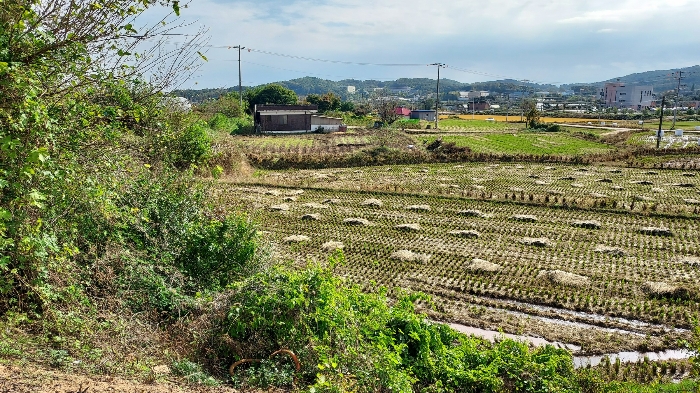일련번호 10
