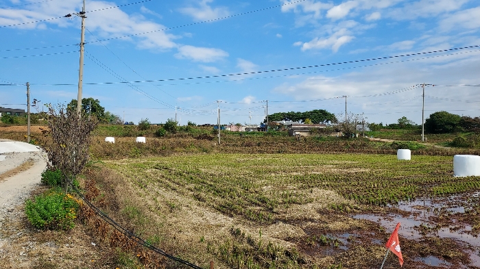 일련번호 1