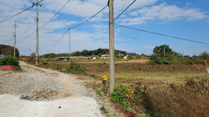 일련번호 3