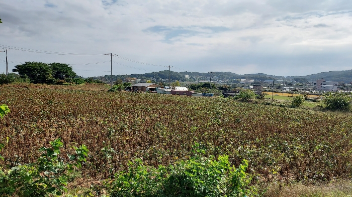 일련번호 6 8 11