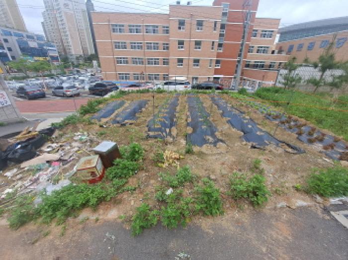 서북쪽부분 텃밭 등