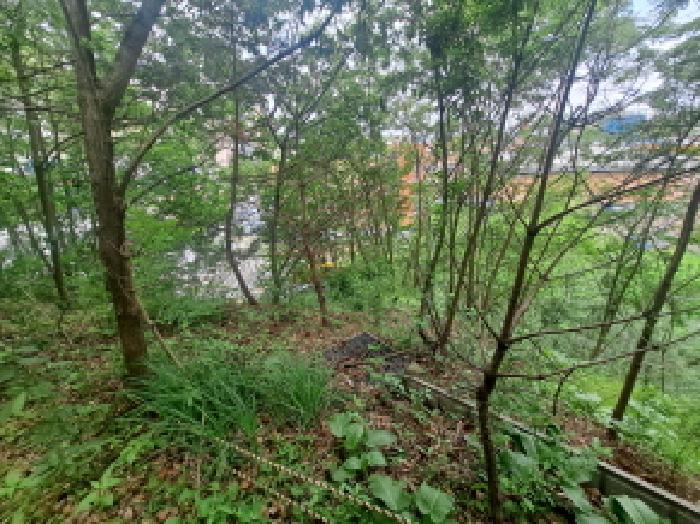 목록 1 동북쪽 경사지 임야부분