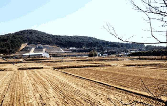 【 본건 주변 전경(본건 북측 원거리에서 촬영) 】