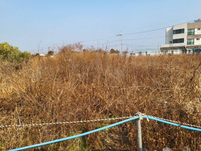 기호 2) 전경
