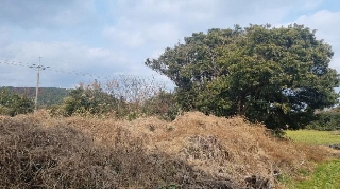 소재지6(수산리