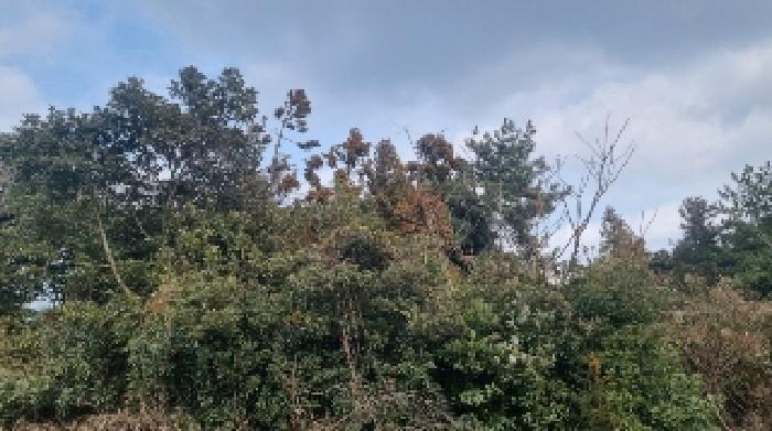 소재지6(수산리