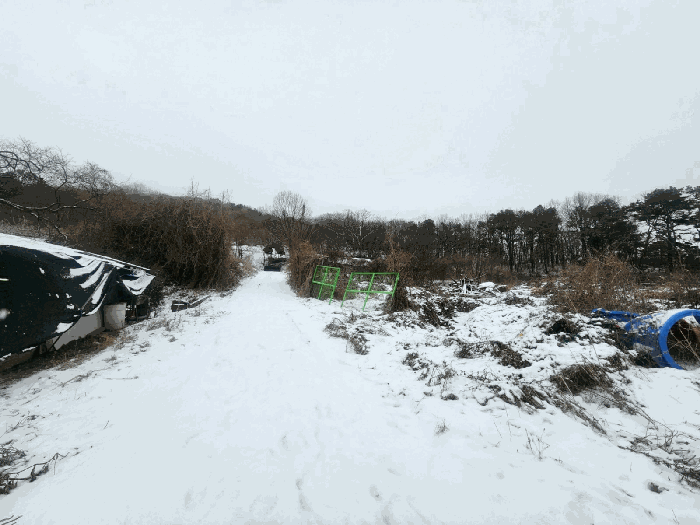 본건(기호3) 