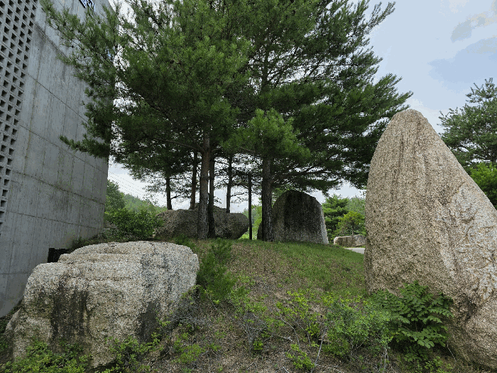 조경석, 조경수