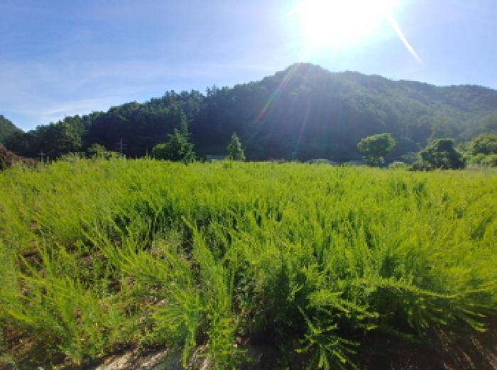 목록3번 전경