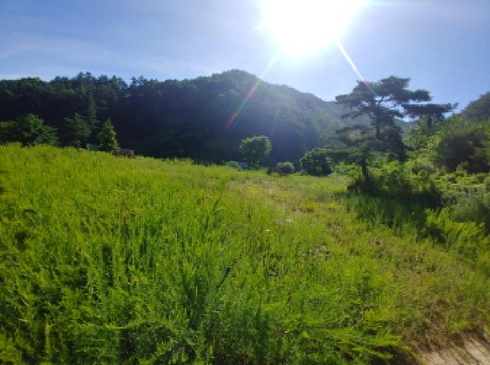 목록3번 전경