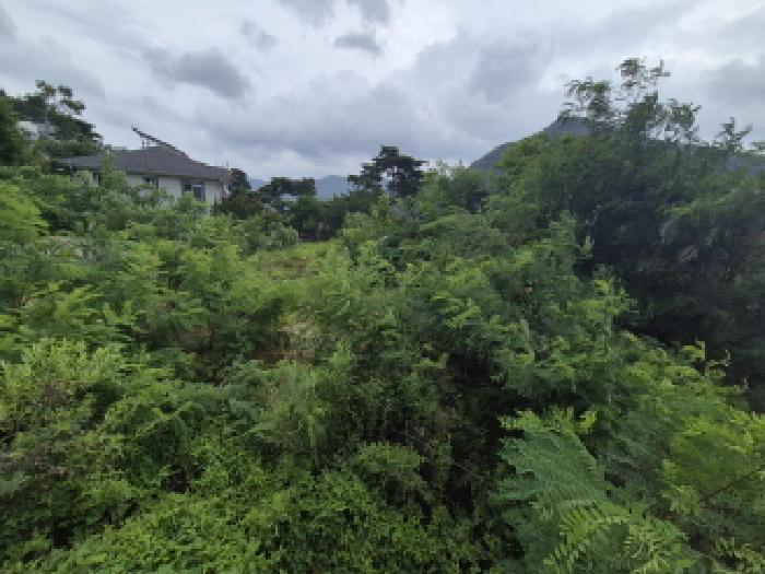 전경