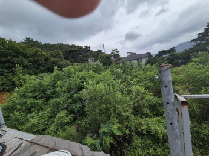 전경