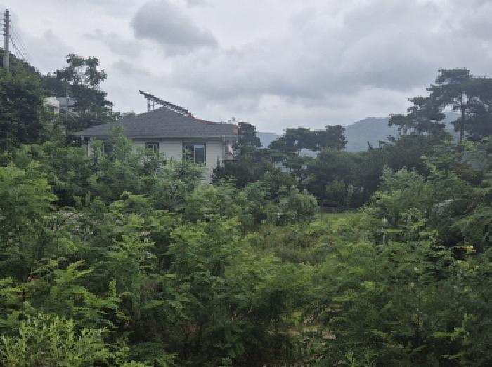 전경
