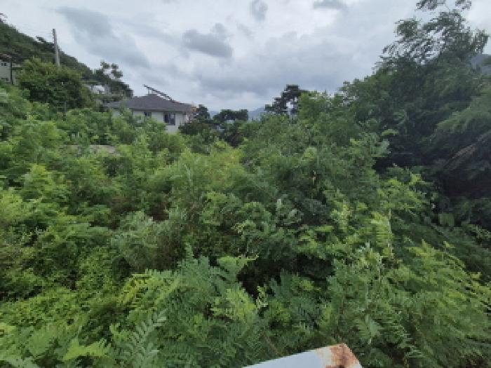 전경