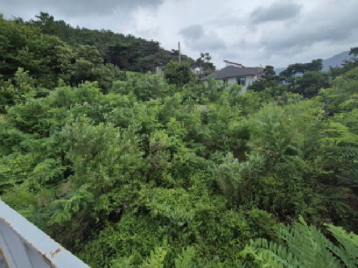 전경