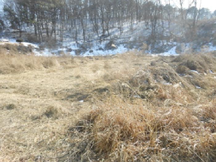 전경