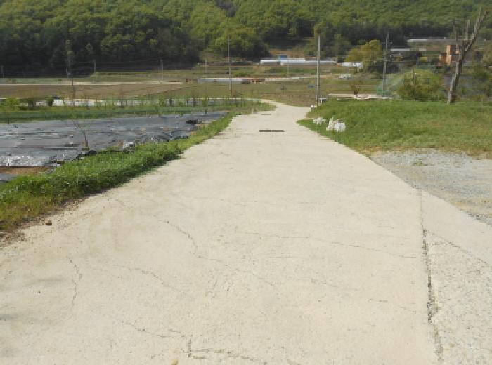 목록7,8 도로 모습