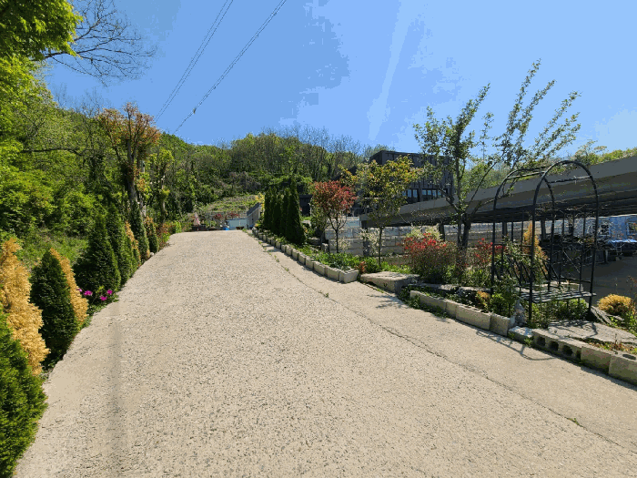 본건 기호(4)토지 전경