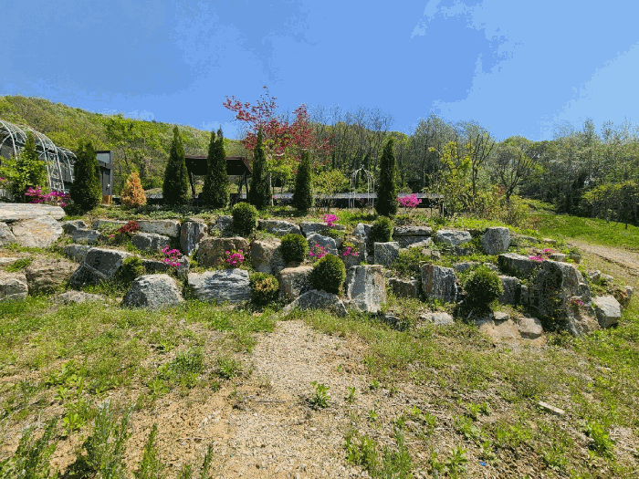 정원수. 정원석 전경 1