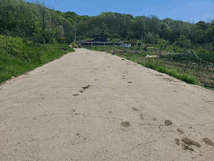본건 기호(7,8)토지 전경